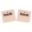Racing Air Filter Kit Twin Airfor Powerflow Kit