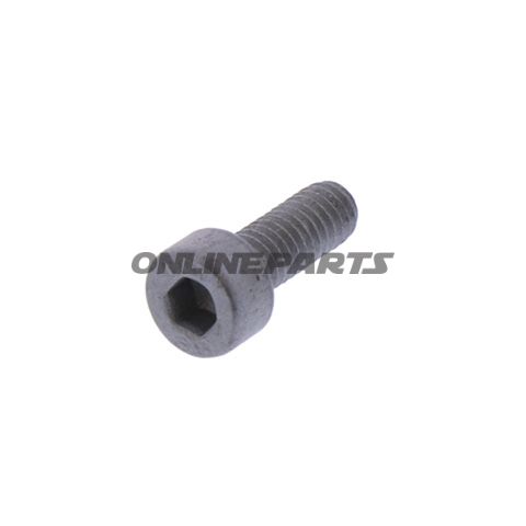 Screw For Front Sprocket (Orig Spare Part)