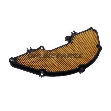 Air Filter (Orig Spare Part)