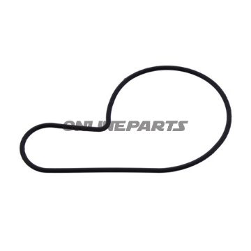 Water Pump Cover Gasket Athenavorgeformt