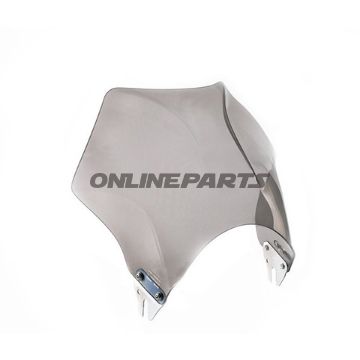 Windshield Raptor Puigsmoke Grey