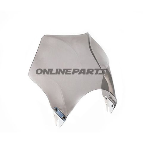 Windshield Raptor Puigsmoke Grey