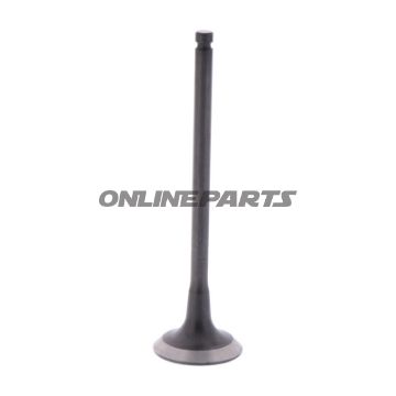 Outlet Valve (Orig Spare Part)