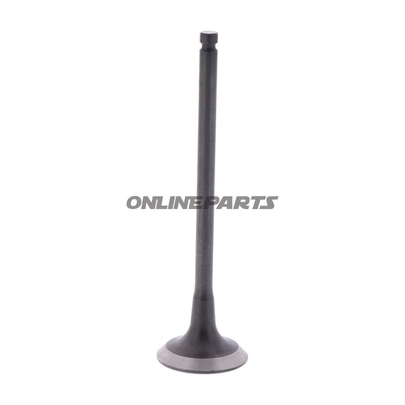 Outlet Valve (Orig Spare Part)