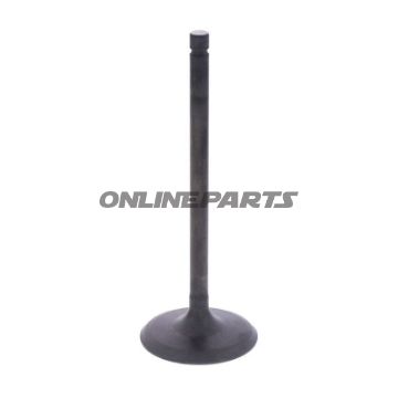 Intake Valve (Orig Spare Part)