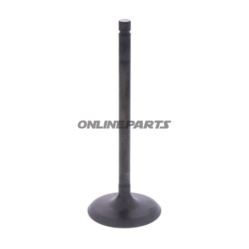 Intake Valve (Orig Spare Part)
