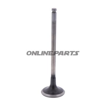 Outlet Valve (Orig Spare Part)