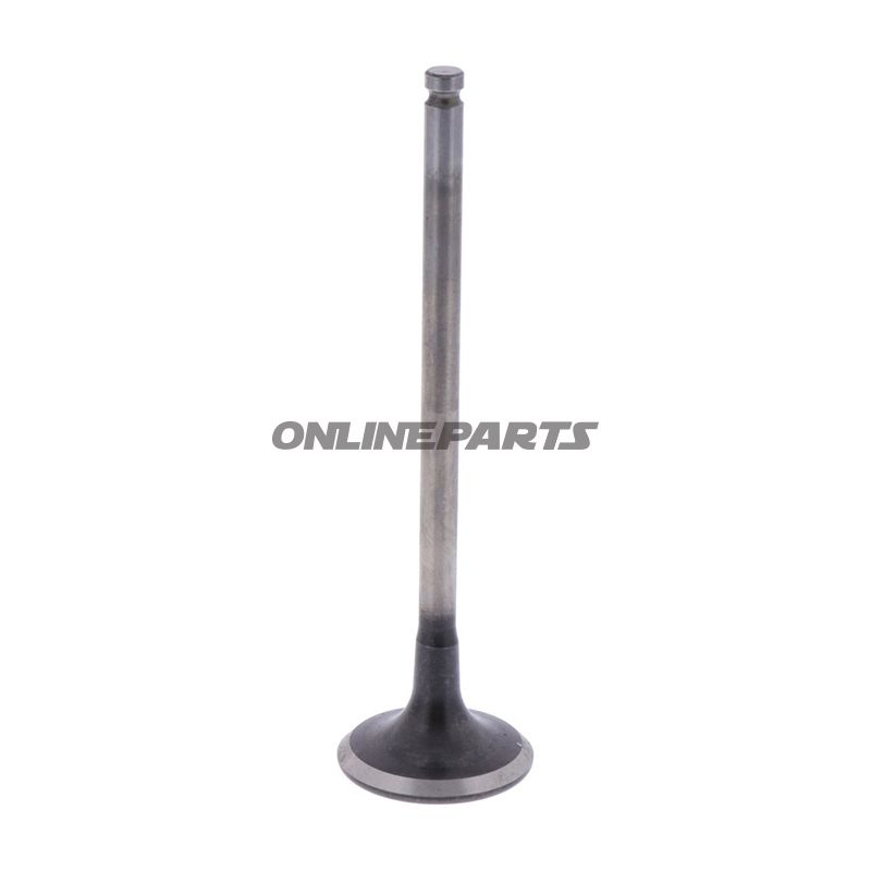 Outlet Valve (Orig Spare Part)