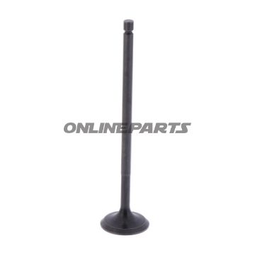 Intake Valve (Orig Spare Part)