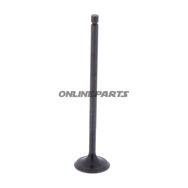 Intake Valve (Orig Spare Part)