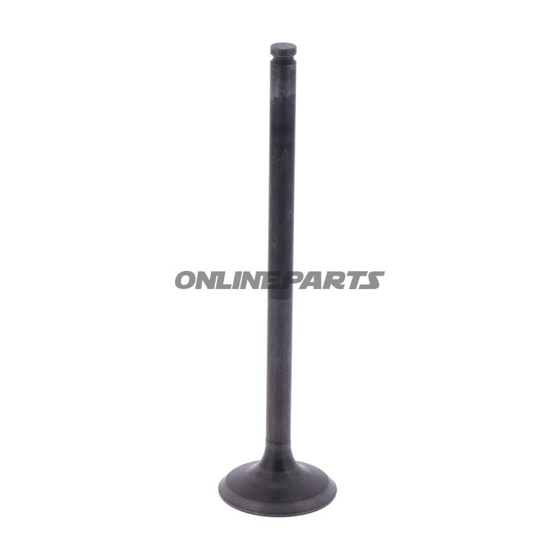 Outlet Valve (Orig Spare Part)
