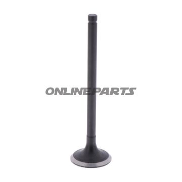 Outlet Valve (Orig Spare Part)