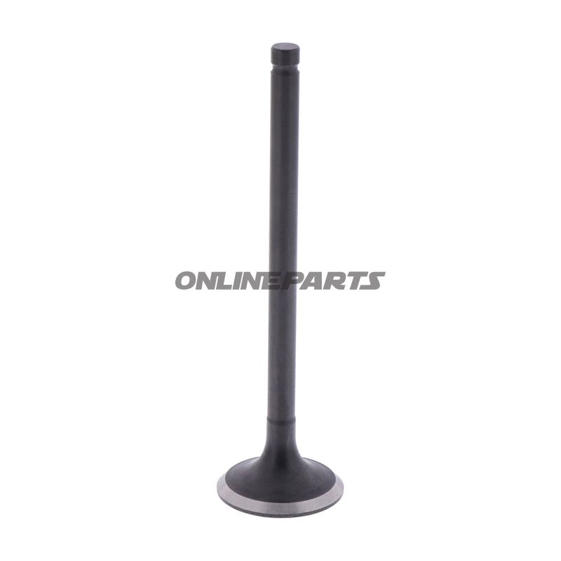 Outlet Valve (Orig Spare Part)