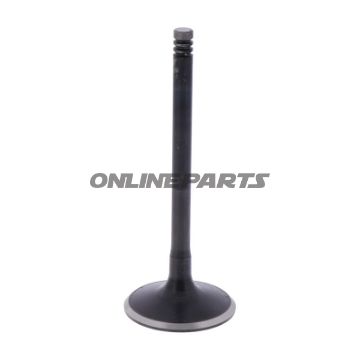 Outlet Valve (Orig Spare Part)