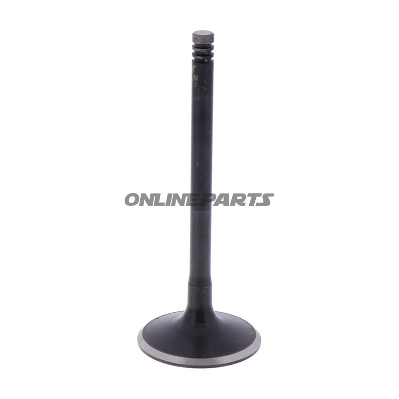 Outlet Valve (Orig Spare Part)