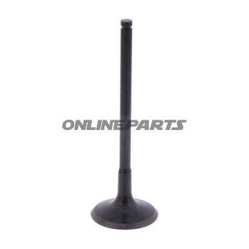 Outlet Valve (Orig Spare Part)
