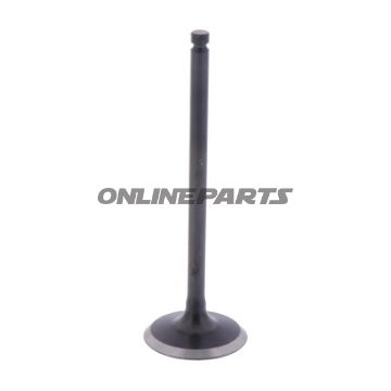 Intake Valve (Orig Spare Part)
