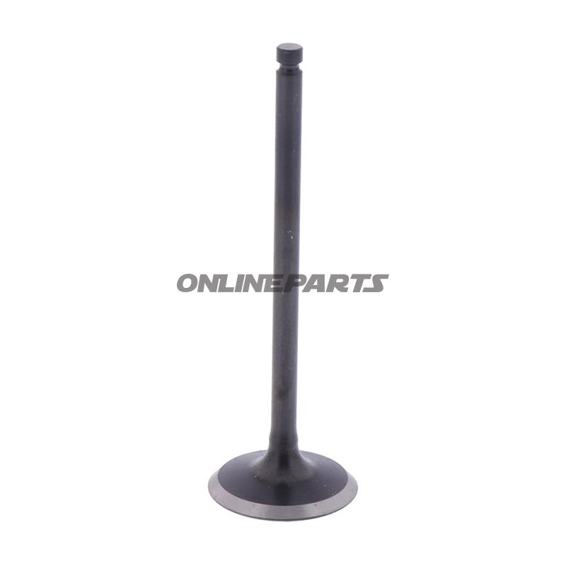 Intake Valve (Orig Spare Part)
