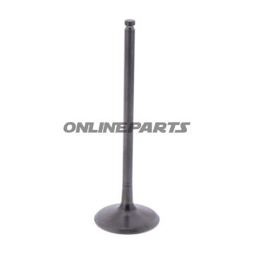 Intake Valve (Orig Spare Part)