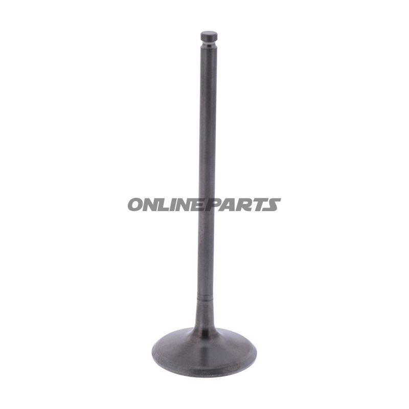 Intake Valve (Orig Spare Part)