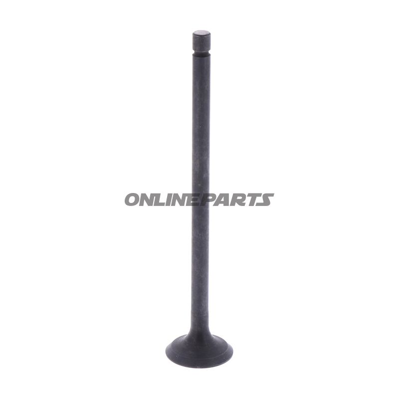 Outlet Valve (Orig Spare Part)