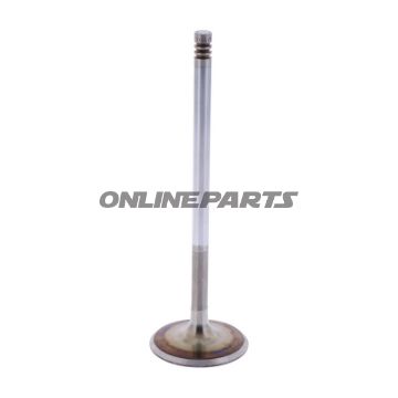 Intake Valve (Orig Spare Part)