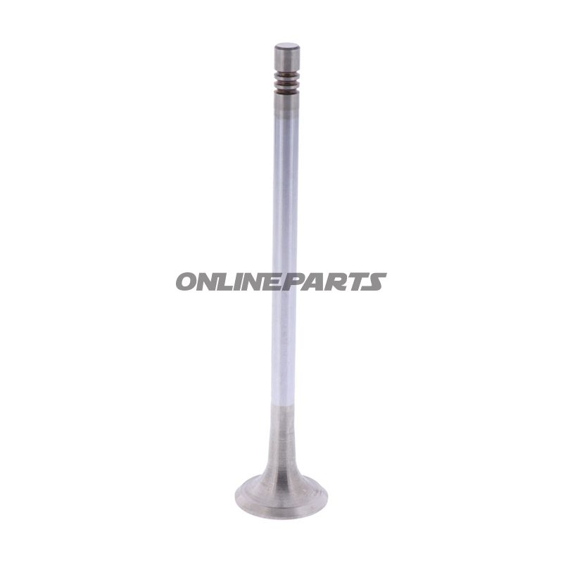 Outlet Valve (Orig Spare Part)