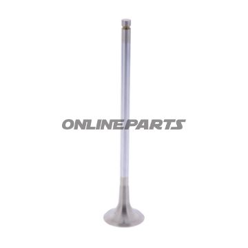 Outlet Valve (Orig Spare Part)