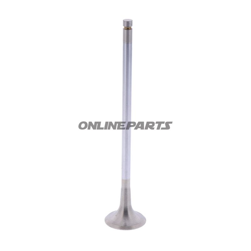 Outlet Valve (Orig Spare Part)