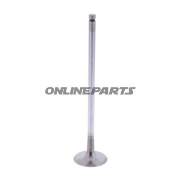 Intake Valve (Orig Spare Part)