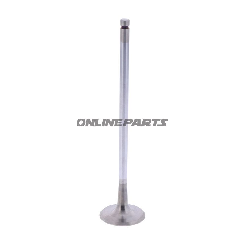 Intake Valve (Orig Spare Part)