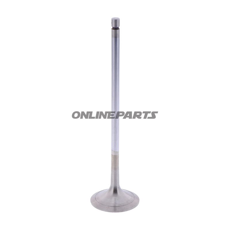 Outlet Valve (Orig Spare Part)