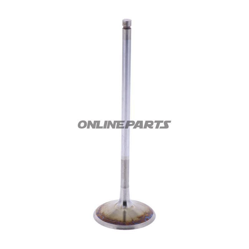 Intake Valve (Orig Spare Part)
