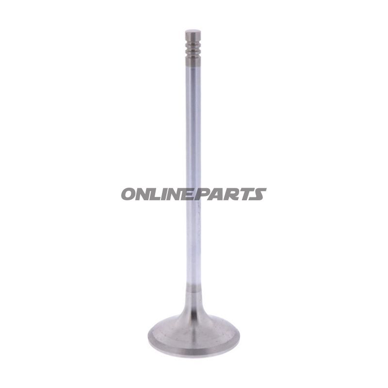 Outlet Valve (Orig Spare Part)