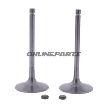 Intake Valve Kit (Orig Spare Part)