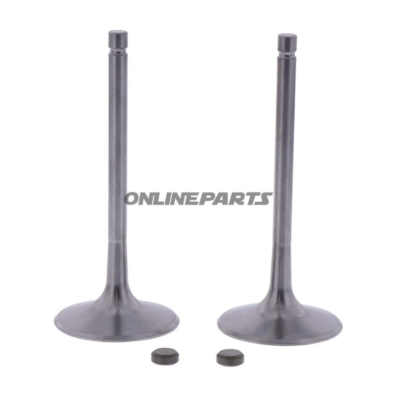 Intake Valve Kit (Orig Spare Part)