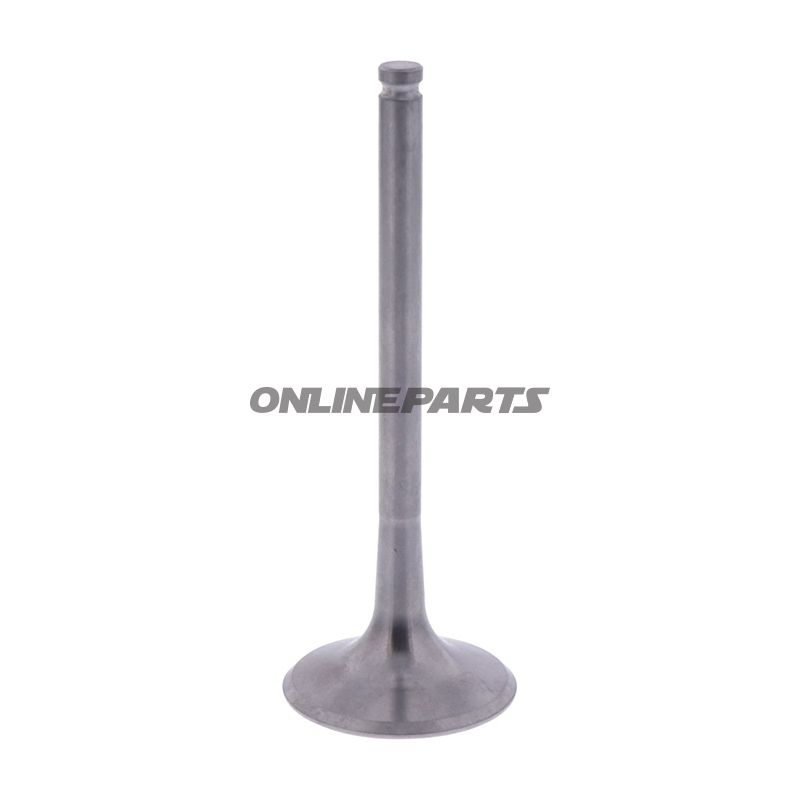 Outlet Valve (Orig Spare Part)