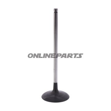 Intake Valve (Orig Spare Part)