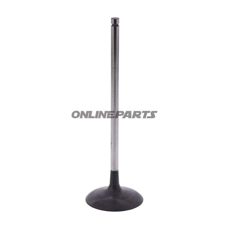 Intake Valve (Orig Spare Part)