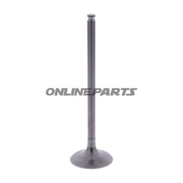 Outlet Valve (Orig Spare Part)