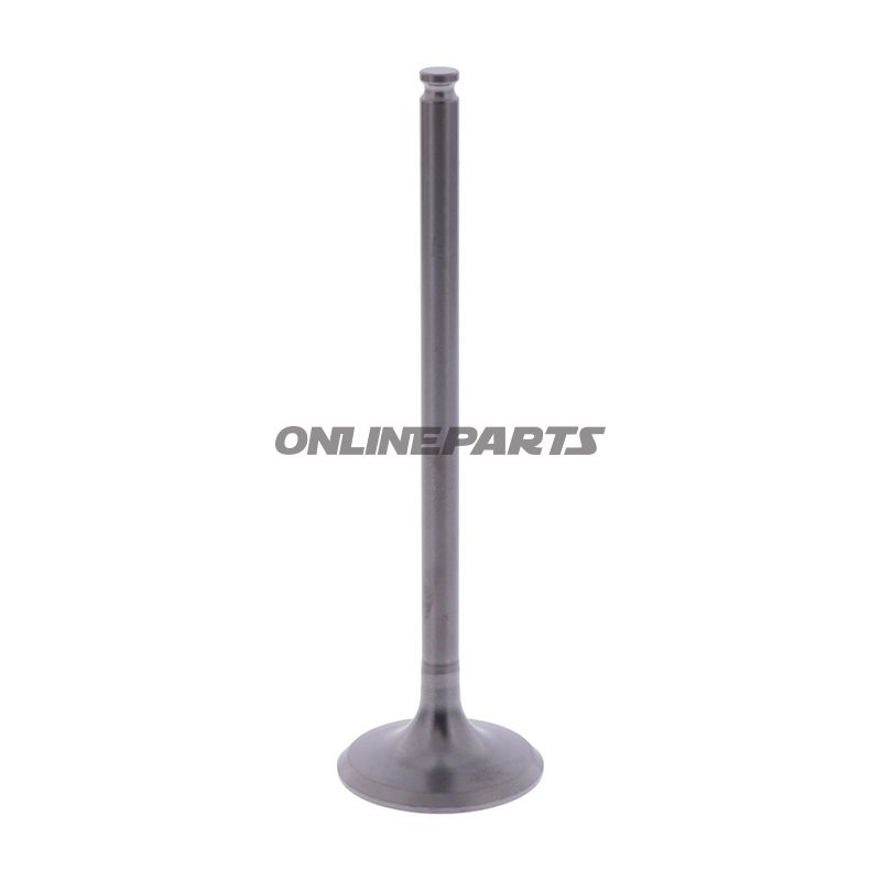 Outlet Valve (Orig Spare Part)