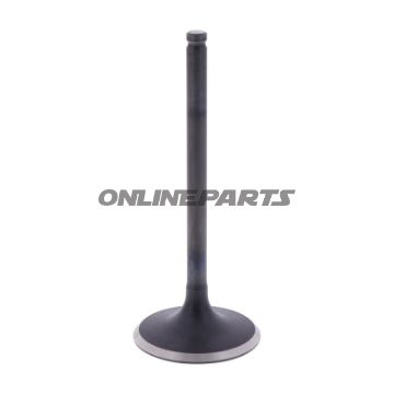 Intake Valve (Orig Spare Part)