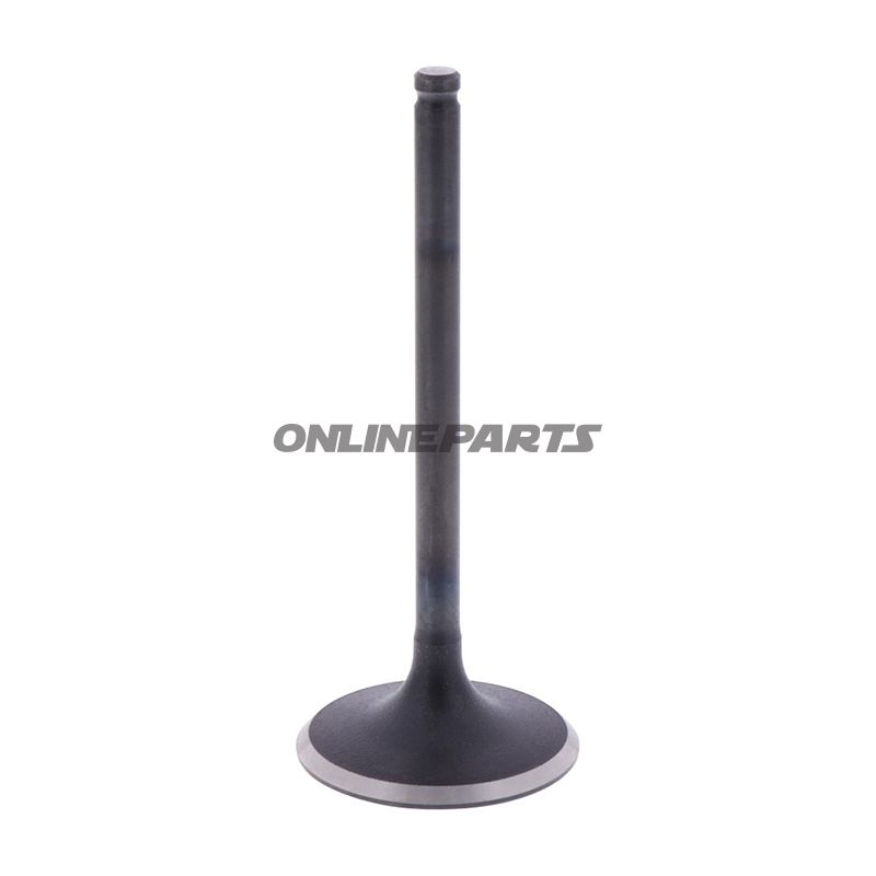 Intake Valve (Orig Spare Part)