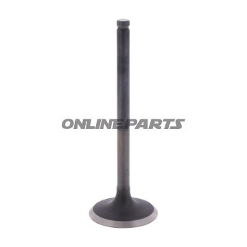 Outlet Valve (Orig Spare Part)