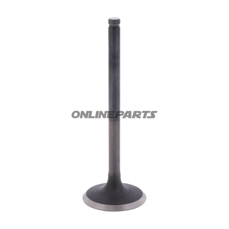 Outlet Valve (Orig Spare Part)