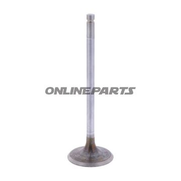 Intake Valve (Orig Spare Part)
