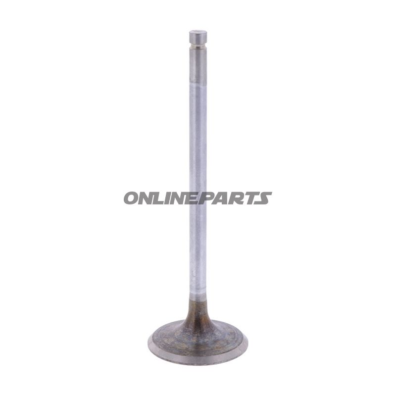 Intake Valve (Orig Spare Part)