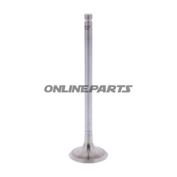 Outlet Valve (Orig Spare Part)