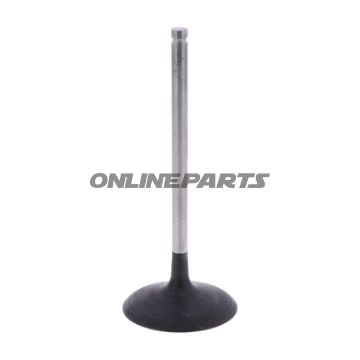 Intake Valve (Orig Spare Part)