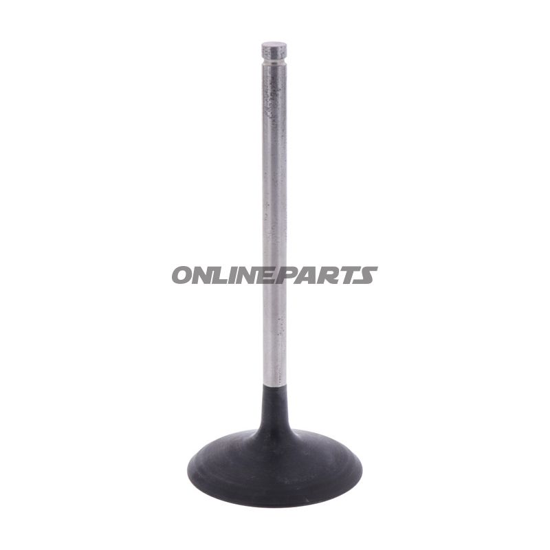 Intake Valve (Orig Spare Part)